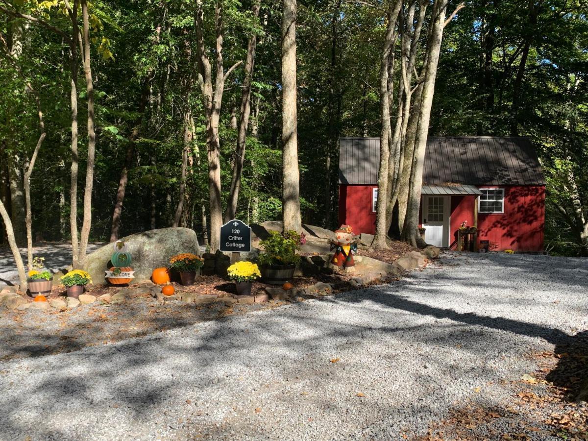 Coops Creek Cabins Dunlap エクステリア 写真